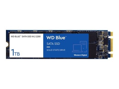 SSD WD Blue 3D NAND WDS100T2B0B - SSD - 1 To - interne - M.2 2280