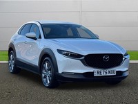 2025 Mazda CX-30 2.5 e-Skyactiv G MHEV 140 Exclusive-Line 5dr Auto Hatchback Pet