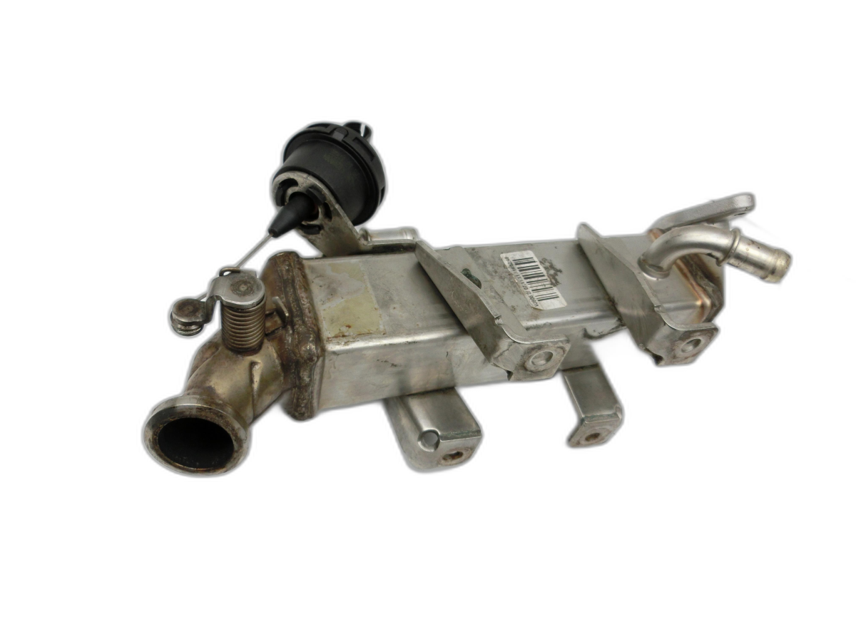 Renault Scenic III 09-12 Dci 2,0 118KW Abgaskühlung Wärmetauscher für AGR  - Bild 1