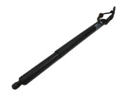 BMW 218i F45 14-18 Spindelantrieb Heckklappe elektrisch BMW 218i F45 14-18 17.07.2017 51247348523 7348523 878587... Vorschau 1