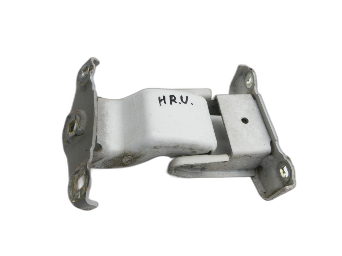 Opel Trafic Vivaro F7 06-14 Kasten Türscharnier für Flügel Tür Scharnier Rechts Hinten Unten  - Bild 1