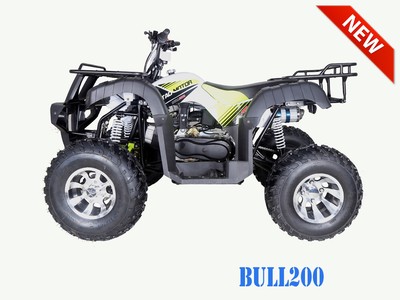 Tao Motor New bull 200 automatic with reverse 170cc Fully loaded Free shipping !