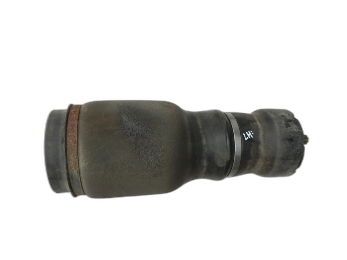 Spring Air Strut Rear Left for Land Range Rover L322 05-09 - Bild 1