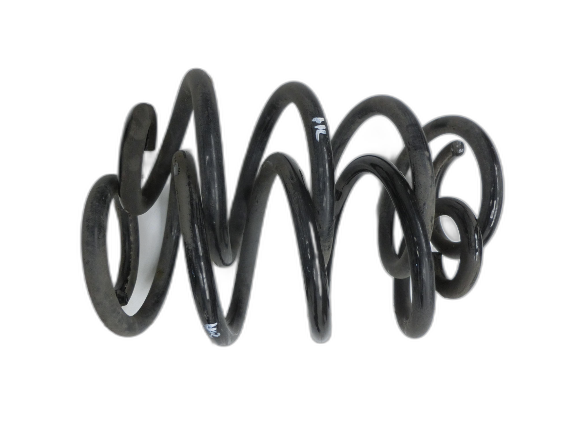 both Spring Rear Marked 51 for Renault Zoe BFM 12-19 - Bild 1