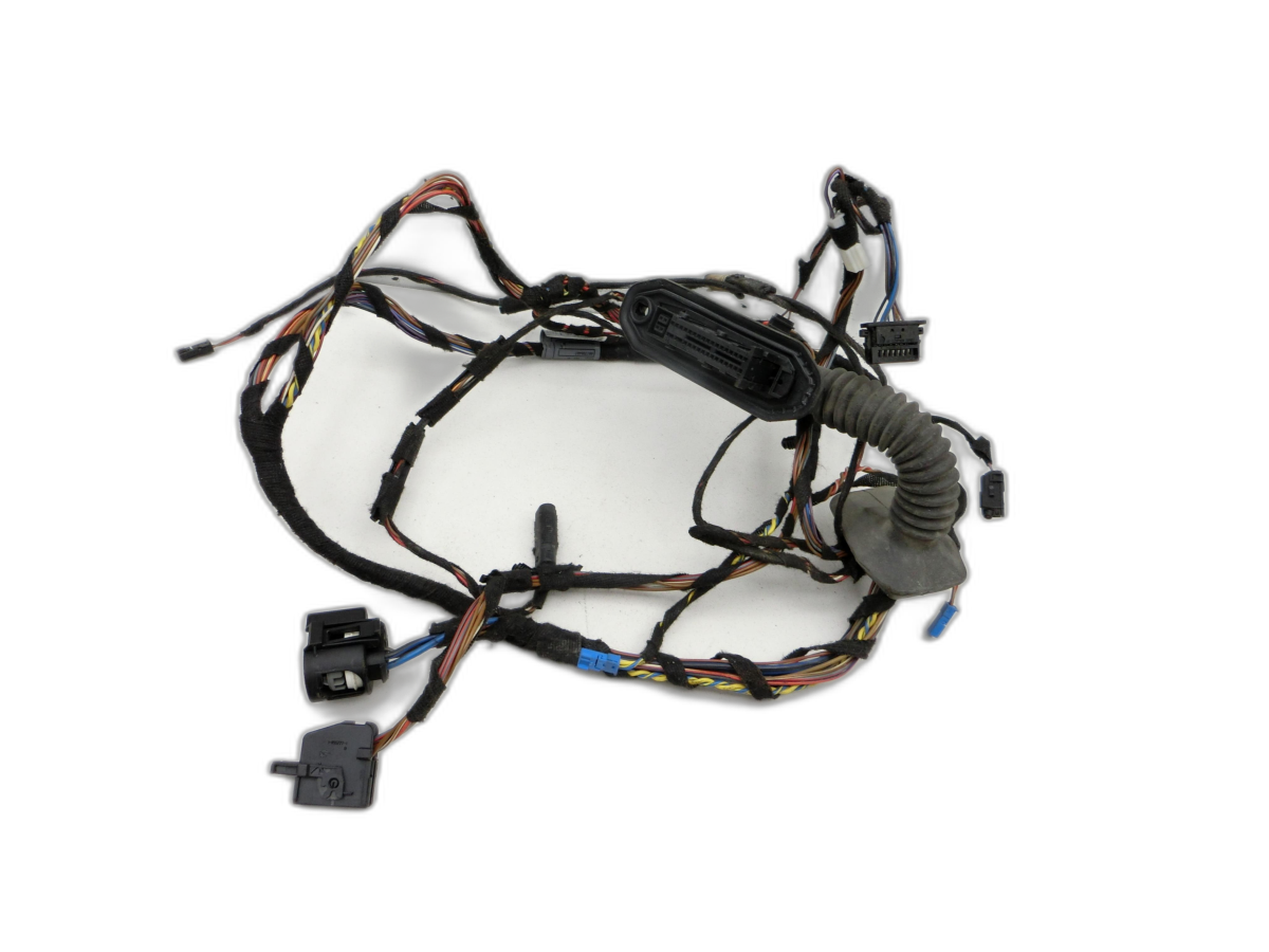 BMW E60 5 series 520 d LCI 07-10 Harness Door and Window Lift Left Front for X5 E70 - Bild 1