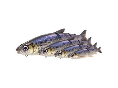 NEU Savage Gear 3D Line Thru Whitefish 22cm 107g Moderate Sink Gummiköder Hecht