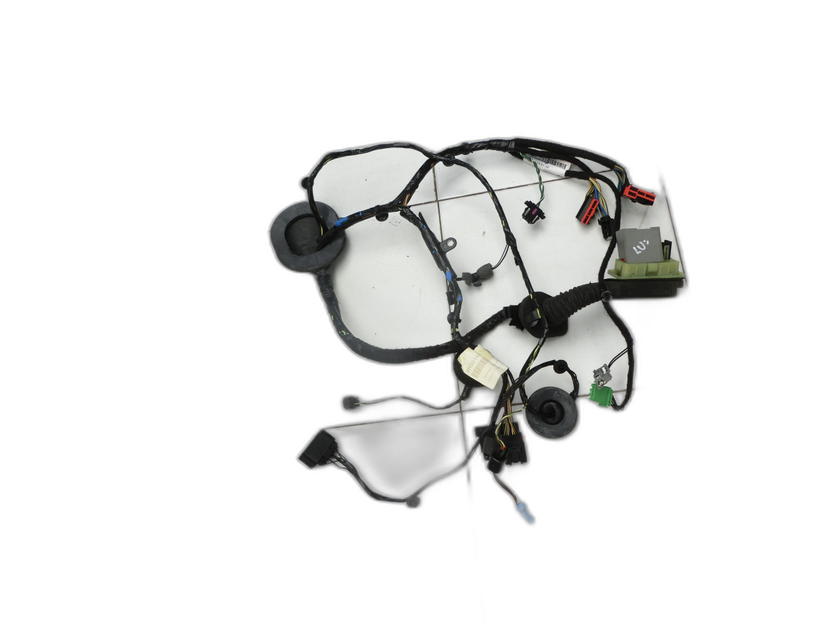 Fascio cablaggio Portiera e Alzacristallo Sx anteriore per Range Rover Sport LS 10-13 - Bild 1