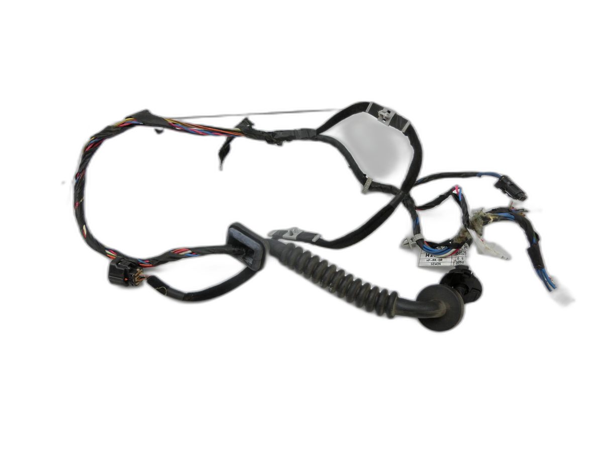 Fascio cablaggio per Portiera e Alzacristallo Sx posteriore Hyundai Terracan 04-06 - Bild 1