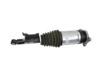 Tesla Model S Palladium 21-25 Federbein Stossdämpfer Hinten Links Tesla Model S Palladium 21-25 30.07.2024... Vorschau 1