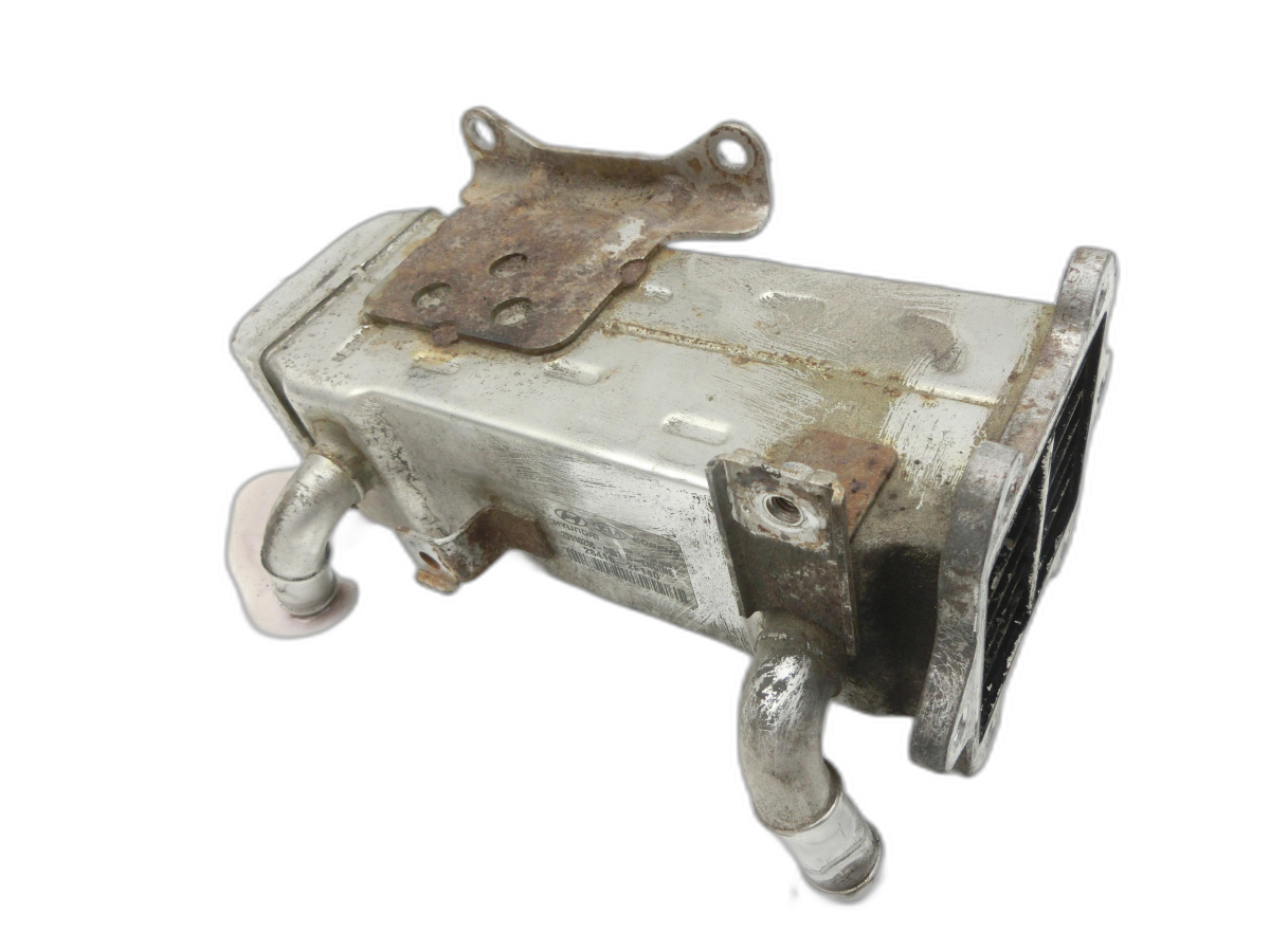 raffreddamento gas di scarico per EGR Kia Sorento XM 09-12 - Bild 1