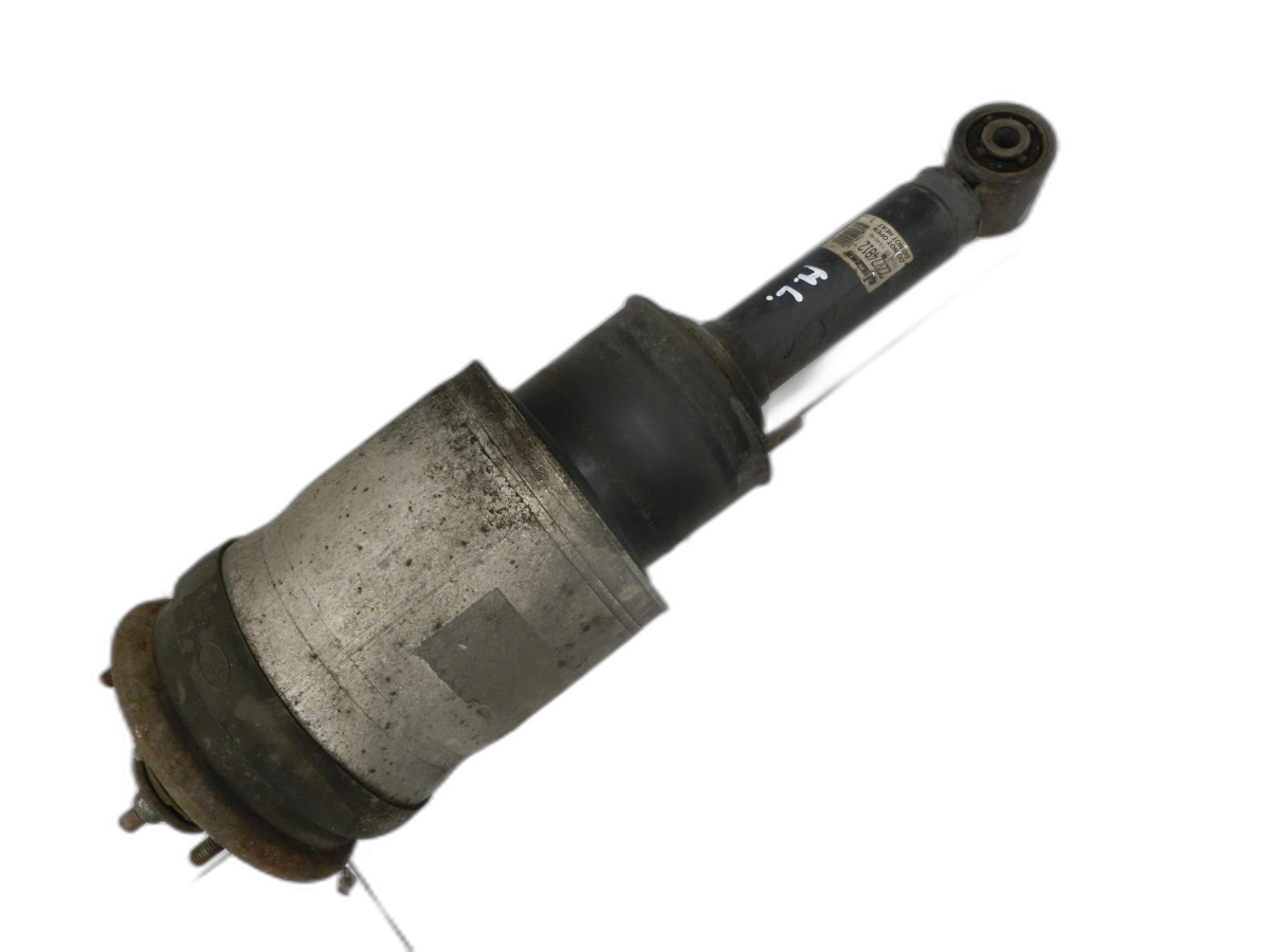 Suspension Strut Shock Absorber Air Rear Left for Range Rover Sport LS 05-10 - Bild 1