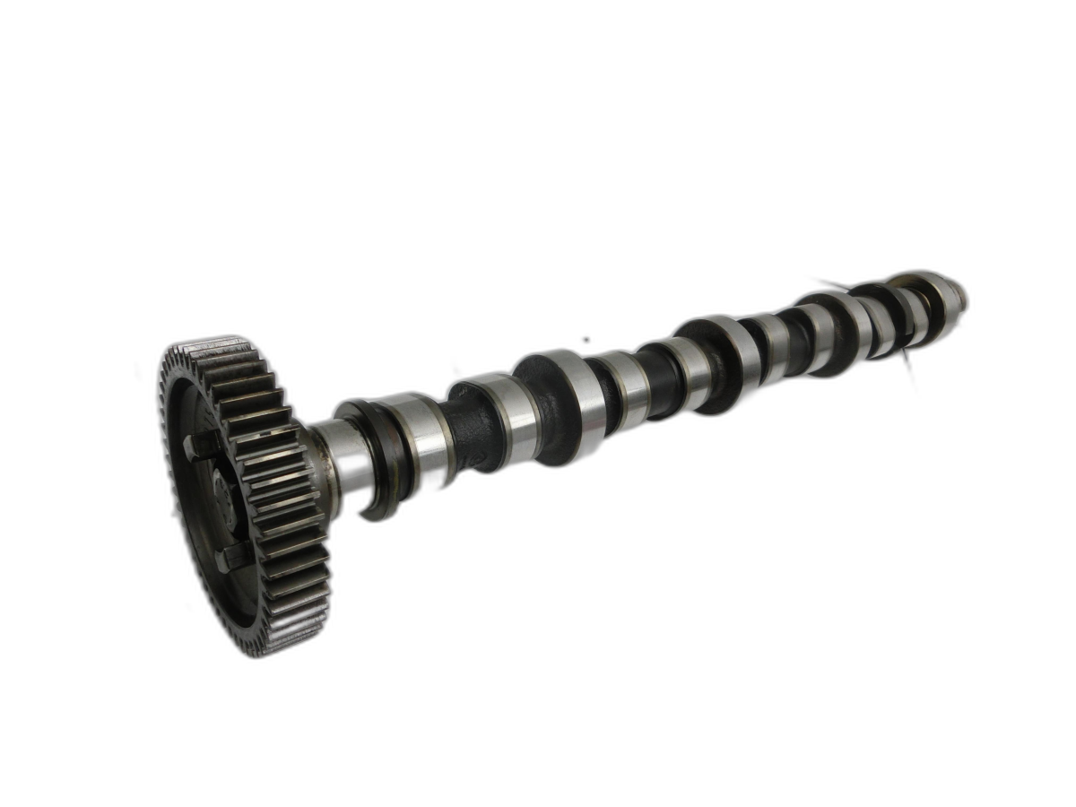 Opel Zafira B A05 05-08 CDTI  1,9 110KW Z19DTH Nockenwelle Auslass  - Bild 1