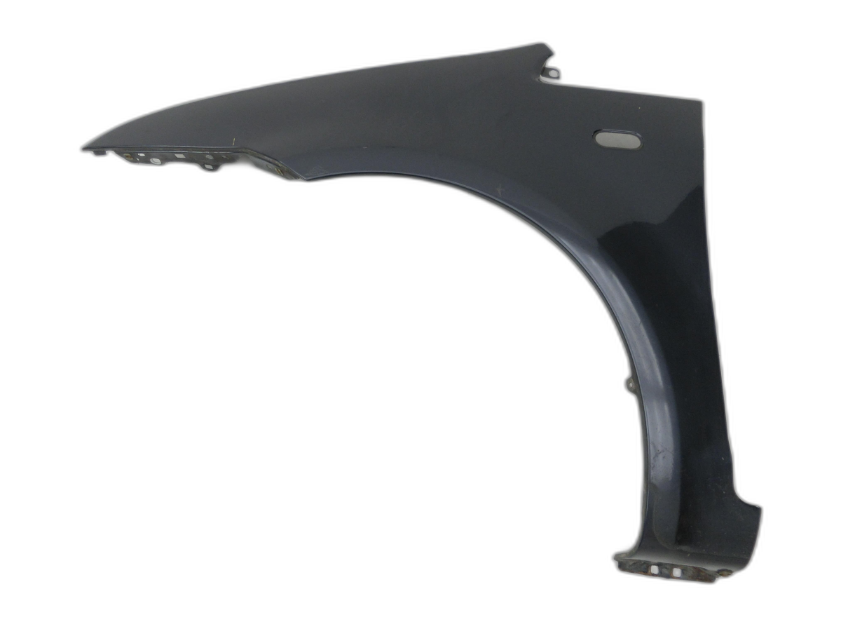 Ford C-Max DM2 07-10 Kotflügel Links H4 - Bild 1