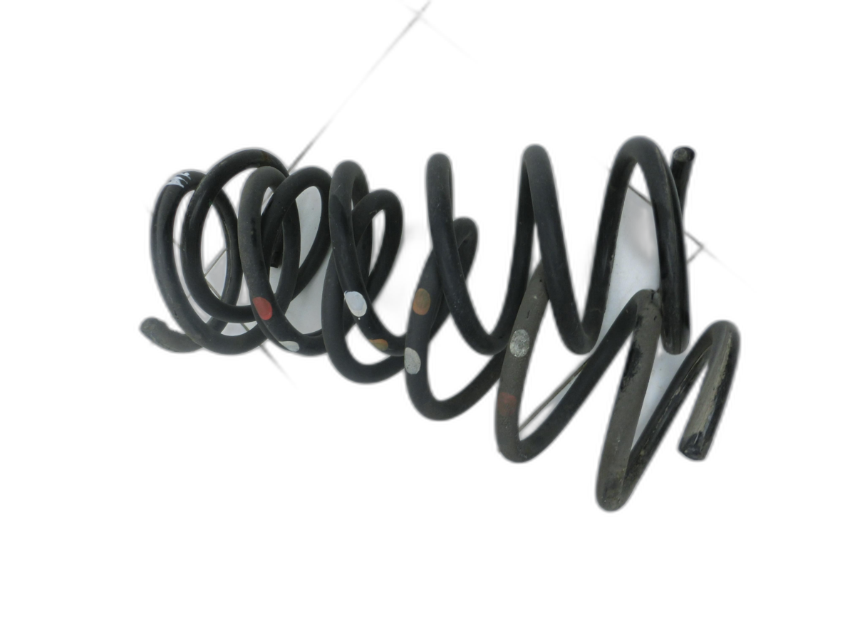 both Spring Rear for Ford Grand C-Max II 10-15 - Bild 1