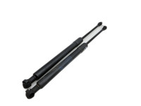 BMW E91 318D LCI 09-13 Kombi Dämpfer Gasfeder für Motorhaube 330N BMW E91 318D LCI 09-13 22.09.2009 7129190... Vorschau 1