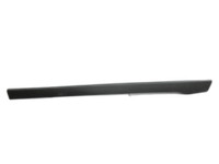 Tesla Model X 90D 15-21 Türleiste Links Hinten Innen Carbon Matt Tesla Model X 90D 15-21 19.05.2017 1035826-11-A... Vorschau 1