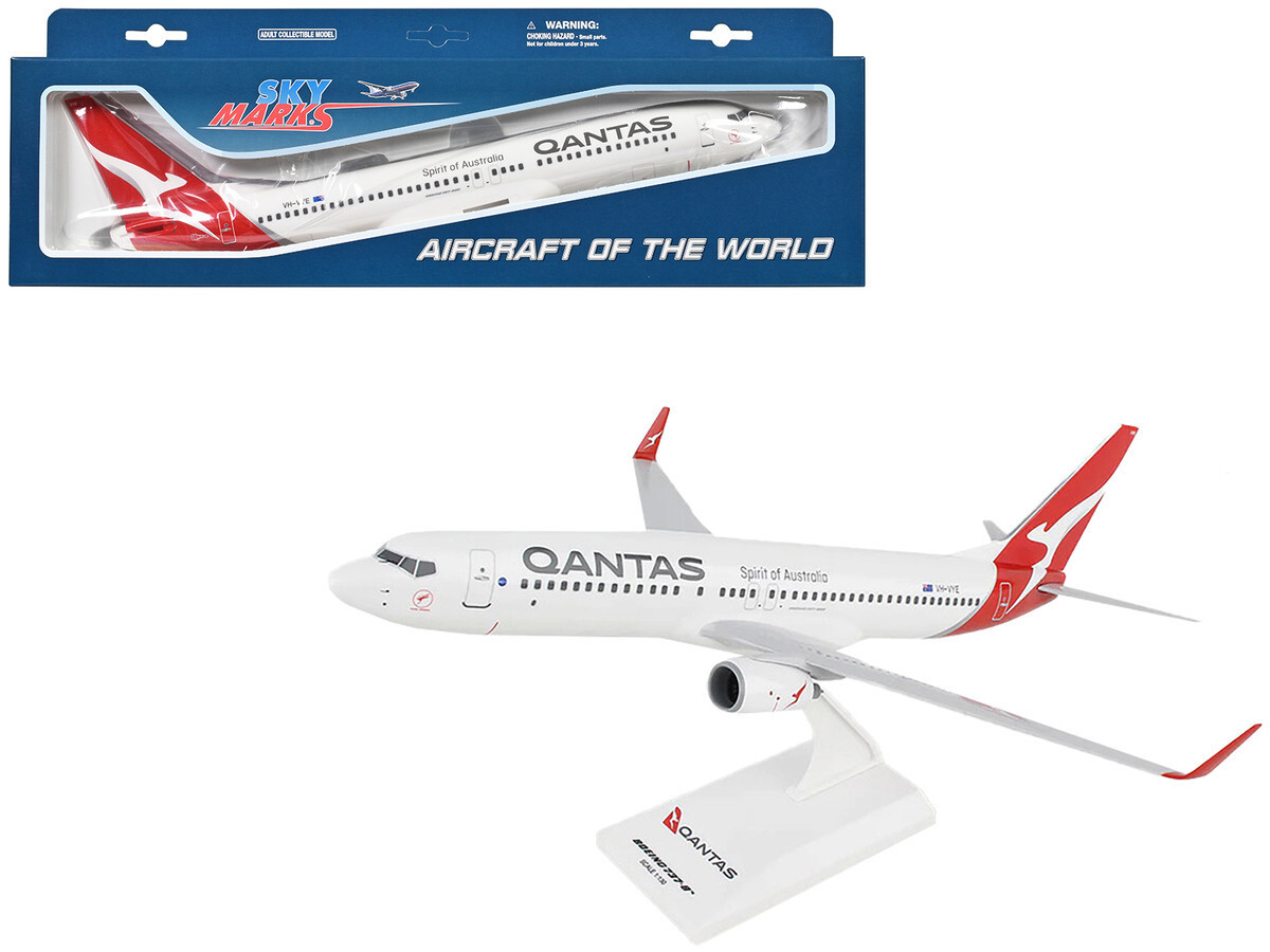 Skymarks Boeing 737-800 Aircraft 