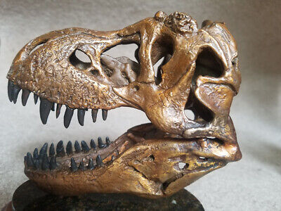 JTS T-Rex Bronze Replica Skull NEW Tyrannosaurus Rex MUSEUM QUALITY Solid Bronze