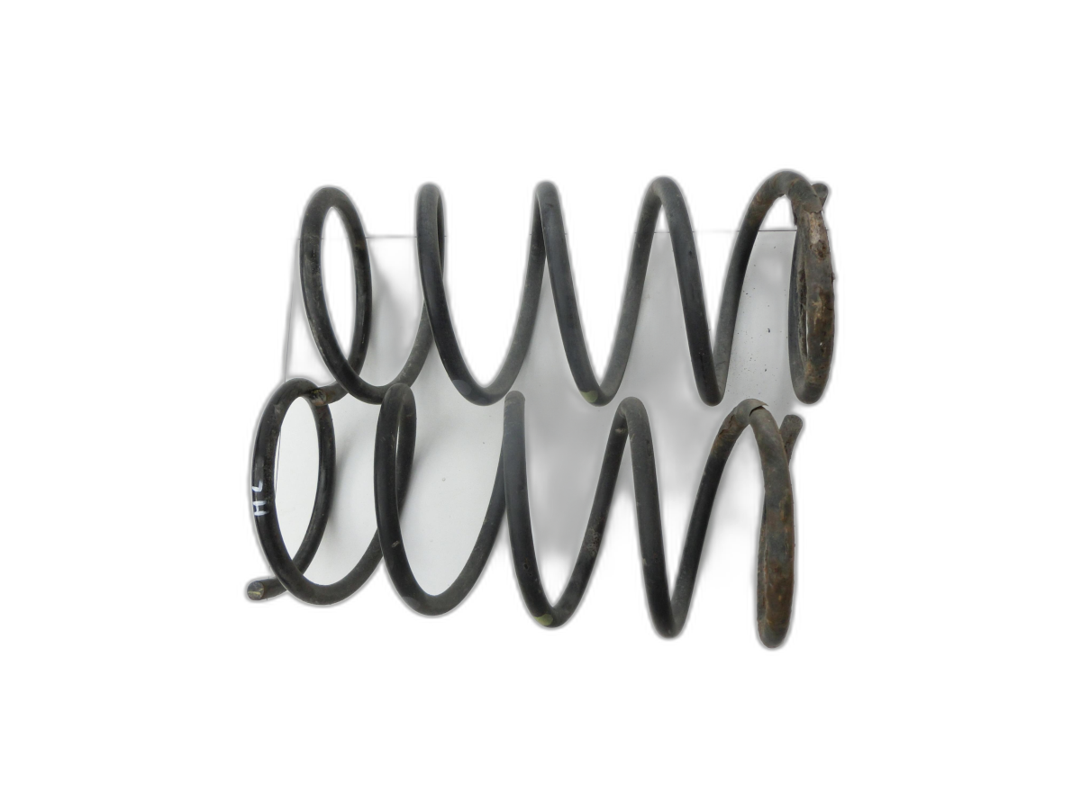 both Spring Rear for Hyundai Terracan 04-06 - Bild 1