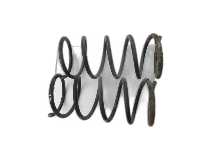 Hyundai Terracan 04-06  Beide Feder Federn Hinten  - Bild 1