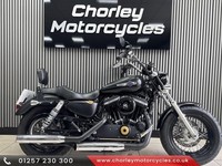 2017 HARLEY-DAVIDSON XL 1200 CB CUSTOM hog cruiser