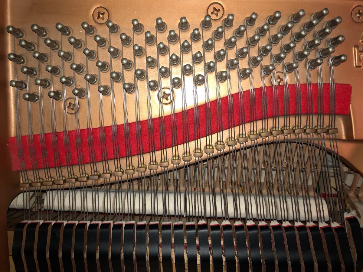 Yamaha Baby Grand 5' - Ebony - Excellent condition