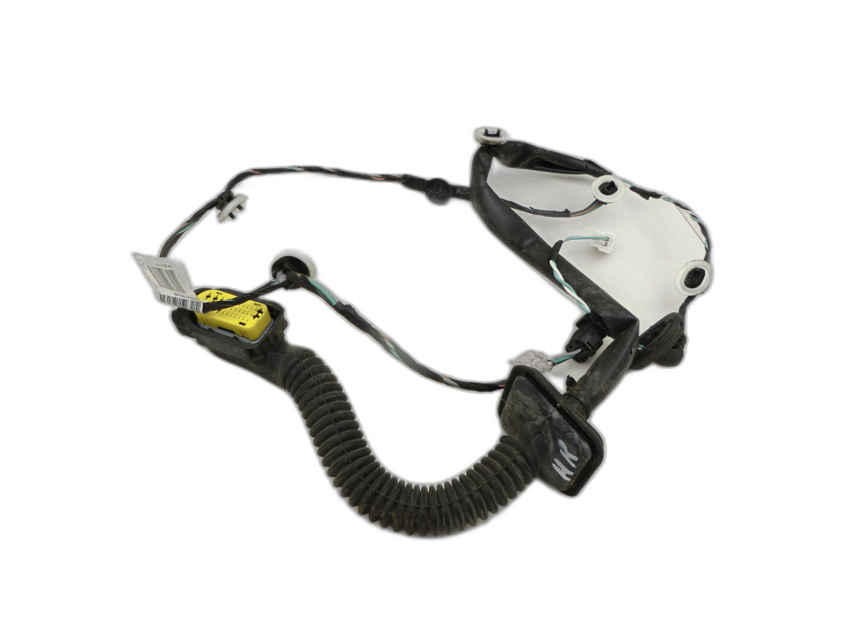 Harness Door and Window Lift Rear Right for Renault Zoe BFM 12-19 - Bild 1