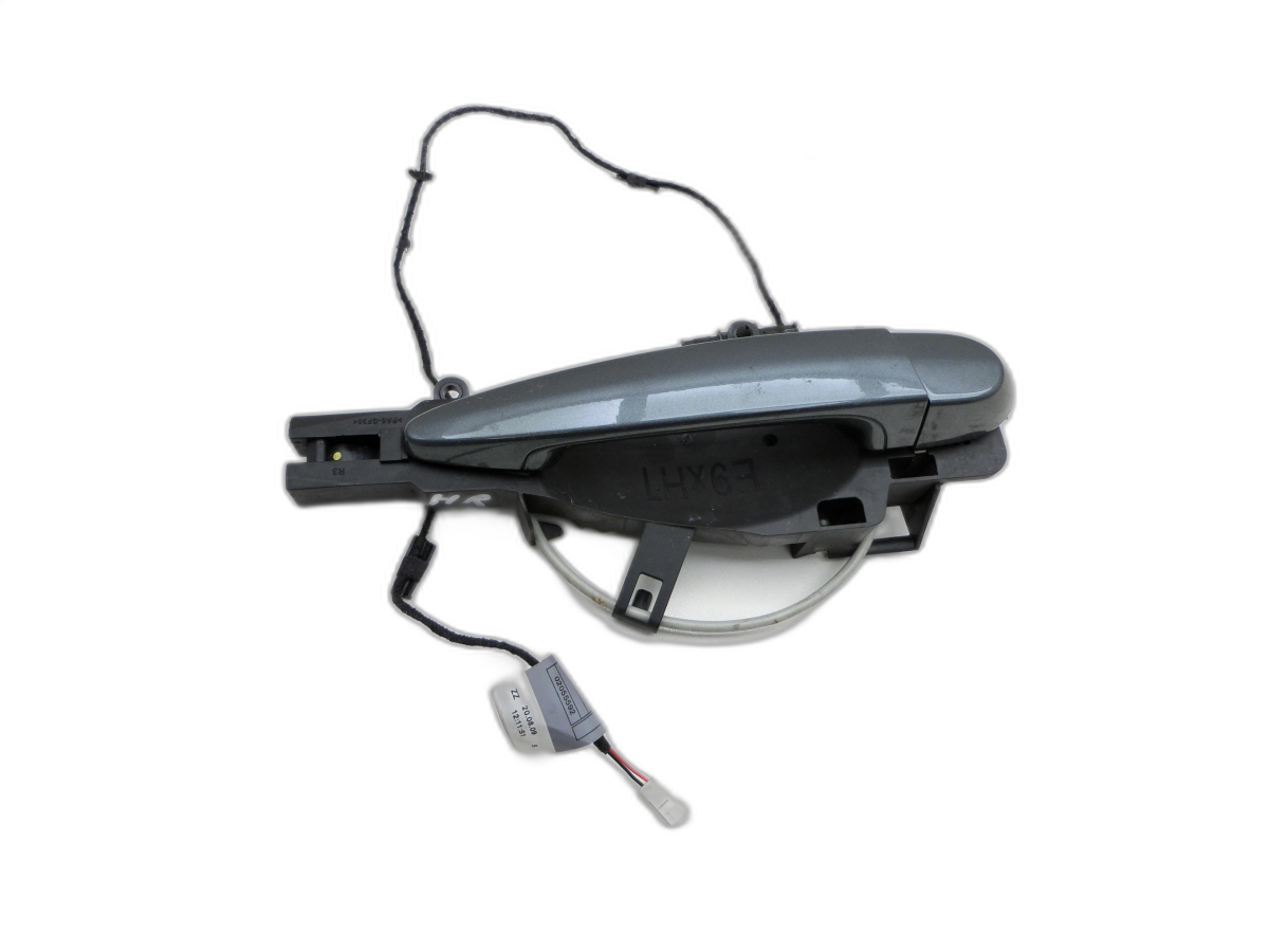 Maniglia apriporta Manopola-Maniglia esterno Dx posteriore Ambiente Luce per A81 · BMW E91 318D LCI 09-13 - Bild 1