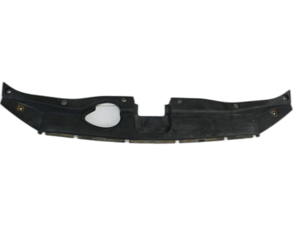 Hyundai Santa Fe II CM 06-12 Wasserabweiser Wasserleitblech  - Bild 1