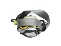 VW Phaeton 3D 02-07 Kurz Gurt Sicherheitsgurt Rechts Hinten VW Phaeton 3D 02-07 02.09.2004 3D0857806 561169000 gebraucht Vorschau 1