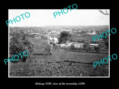 OLD LARGE HISTORIC PHOTO OF MOLONG NEW SOUTH WALES VIEW OF THE TOWNSHIP c1890