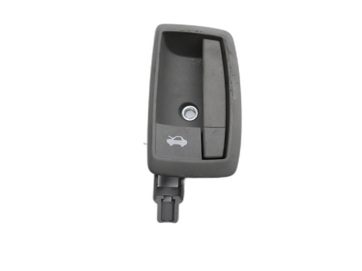 poignée bar extérieur pour Hayon EWP (EWP) Peugeot Boxer Jumper 250 06-12 - Bild 1