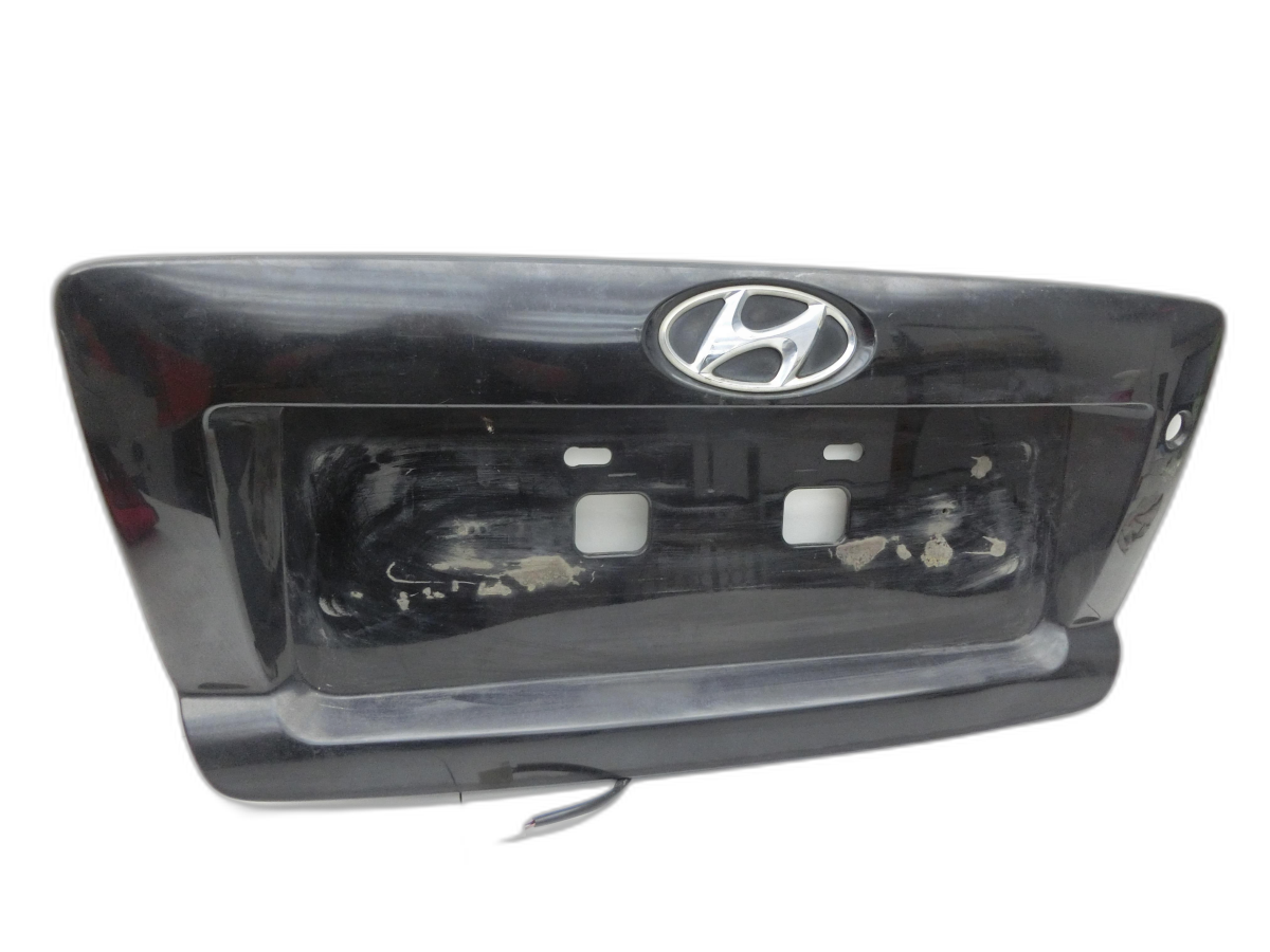 Taillight Cover Indicator Panel for Hyundai Terracan 04-06 - Bild 1