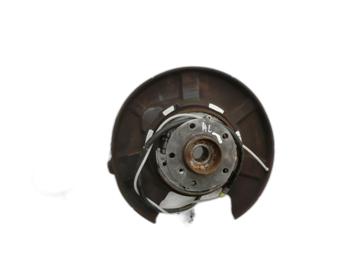 BMW X1 E84 09-12  2,0i 110KW Achsschenkel Radnabe Radlagergehäuse Hinten Links  - Bild 1