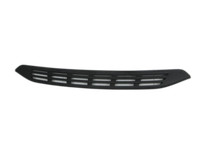 Fiat Ducato Boxer 250 14-23 Lufteinlassgitter für Stoßstange Stoßfänger Vorne 549 Fiat Ducato Boxer 250 14-23... Vorschau 1