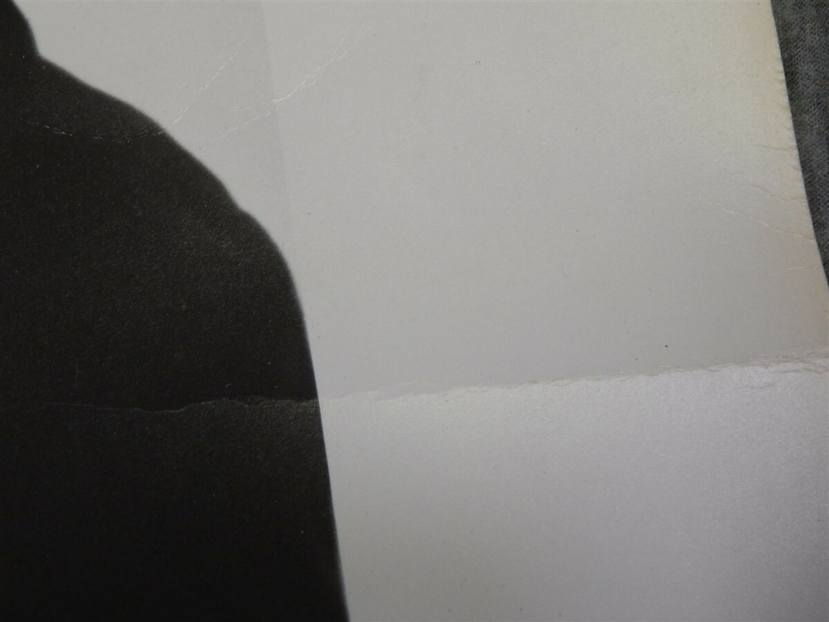 1934 LARGE 14x17 Photographs TREASURE ISLAND Wallace Beery Jackie Cooper