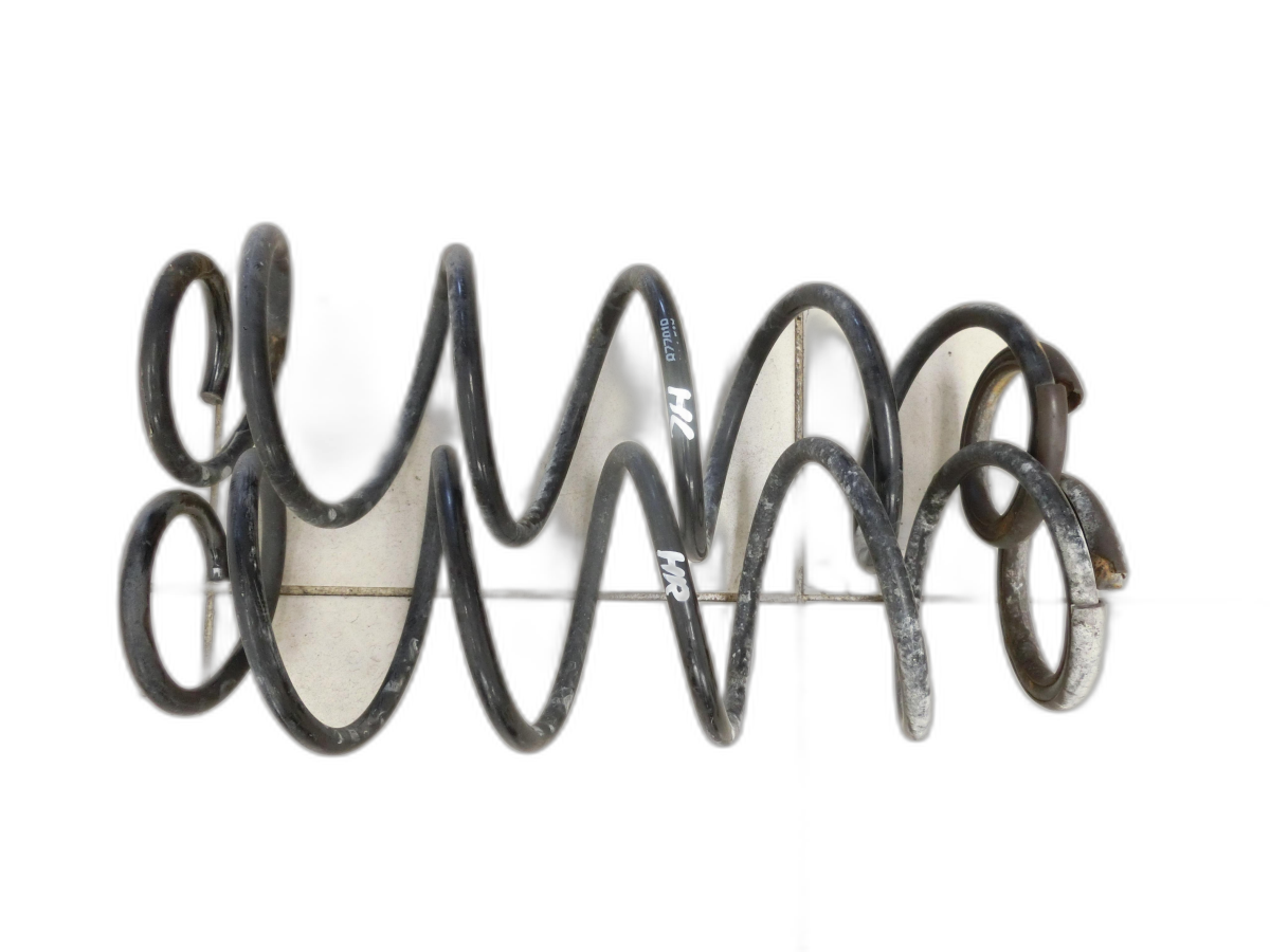 both Spring Rear for Lim Renault Laguna III 3 07-11 - Bild 1