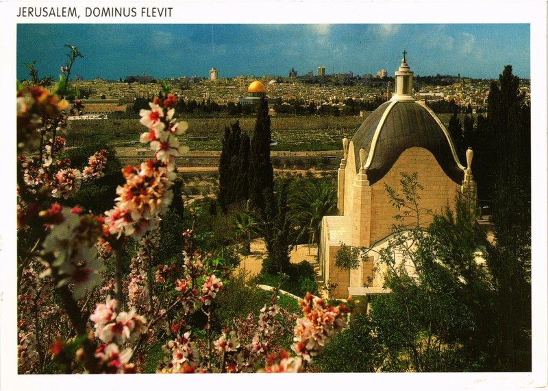 Cpm Ak Jerusalem Dominus Flevit Israel (783702)