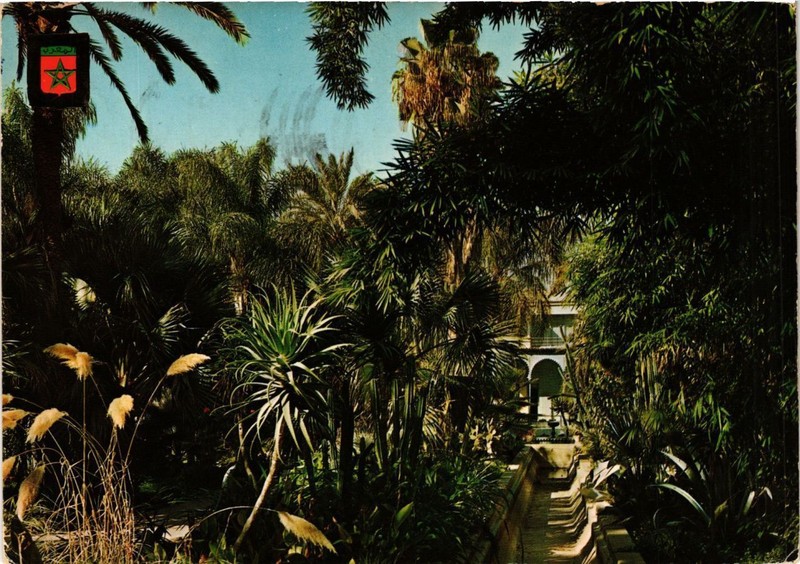 Cpm Maroc Marrakech-Jardin Majorelle (342922)