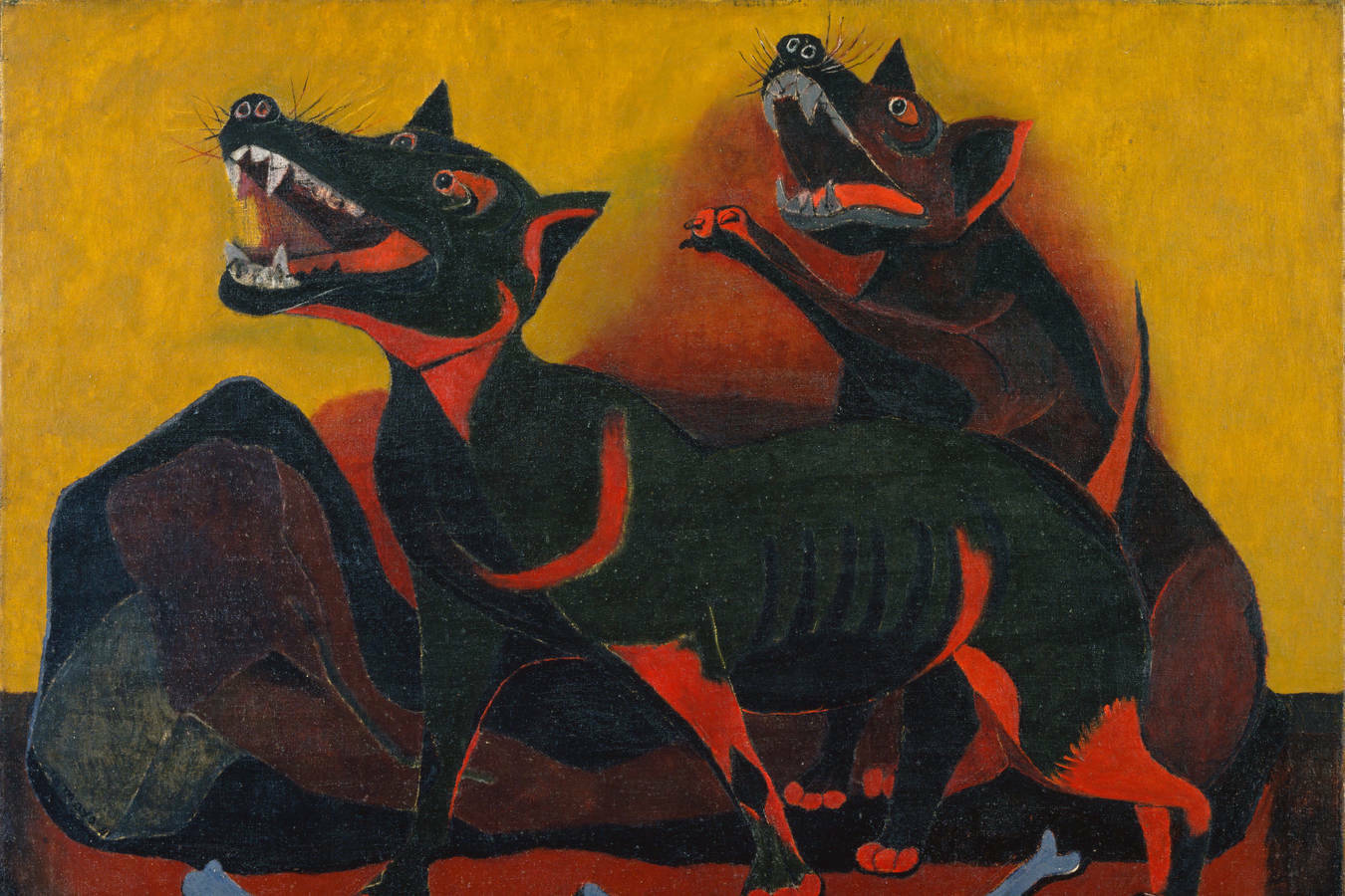 Rufino Tamayo 画集 Rufino Tamayo 画集 Rufino Tamayo 画集 本