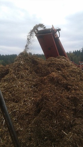 Established permitted Wood Recycling mulch, landscape supply business for sale