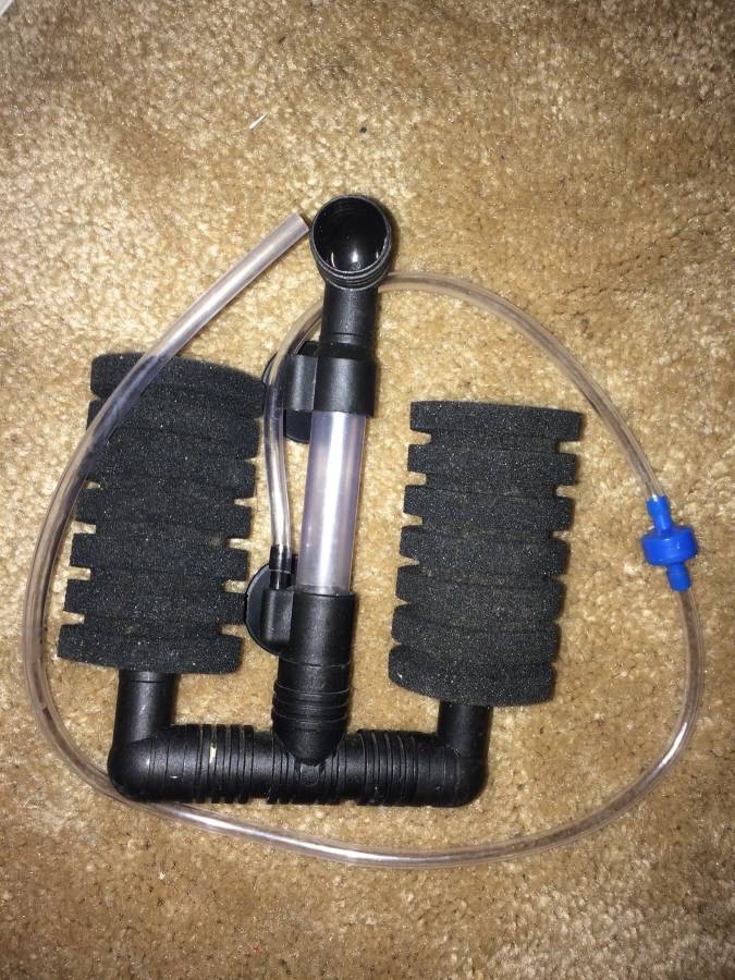 10 gallon tank w/Light Hood, Glass Top, & Filter