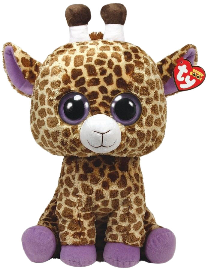 Top10RarestBeanieBoos