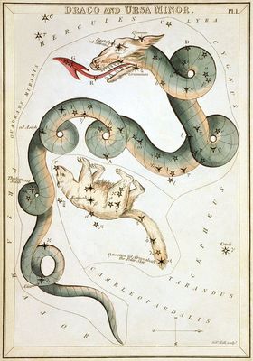 Draco and Ursa Minor Constellation 1824 Vintage Astrology Canvas Print 20x28