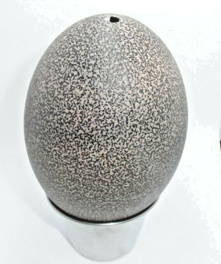 One empty Emu eggshell for crafts, carving, painting  4 1/4 X 3 1/8