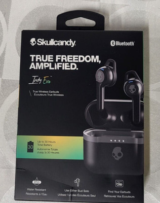 Skullcandy Indy Evo True Wireless In-Ear Earbud - True Black
