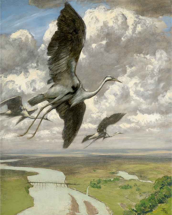 Wondrous Birds Hans Thomas 8x10 Art Print 8"x10"