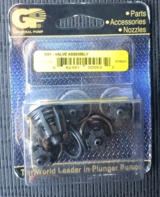 General Pump Kit 1 K01 Valve Assembly OEM Parts General Pump Interpump Plunger 