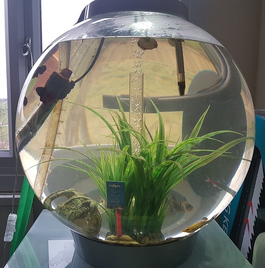 Bio Orb 60L Fish Tank & extras, inc. delivery within 20miles in
