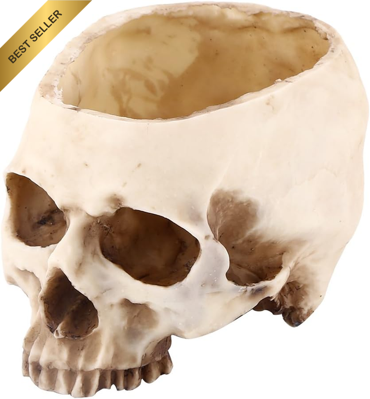 Skull Planter Pot Skull Shaped Head Design Flower Pot Container for Home Office